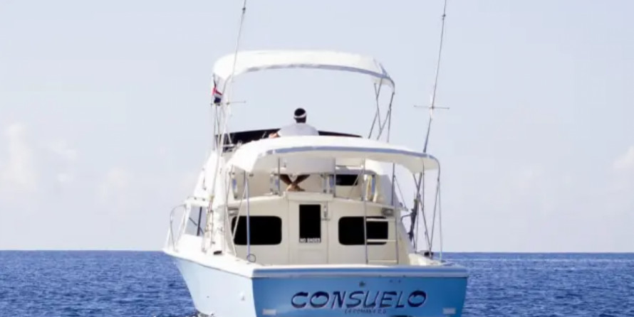 Bertram 28 Flybridge