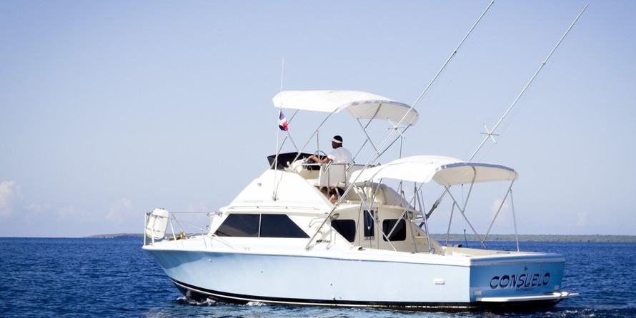 Bertram 28 Flybridge