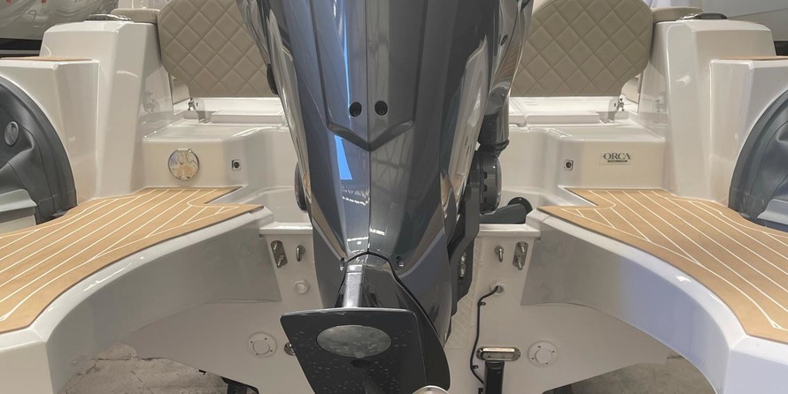 Salpa Gran Soleil 23