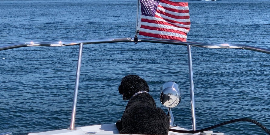 Chaparral 330 Signature