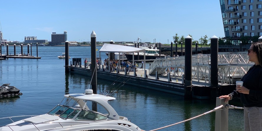 Chaparral 330 Signature