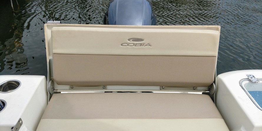 Cobia 217 center console