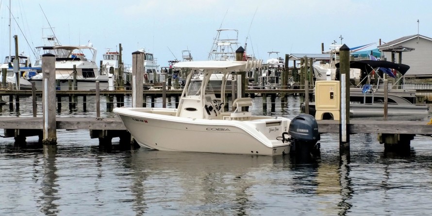 Cobia 217 center console