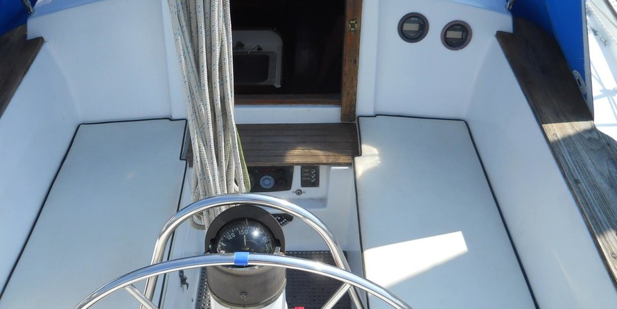 Morgan 382