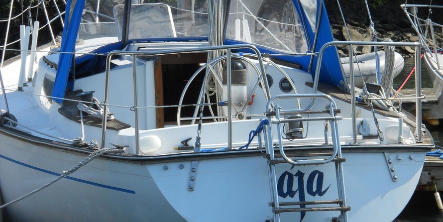 Morgan 382