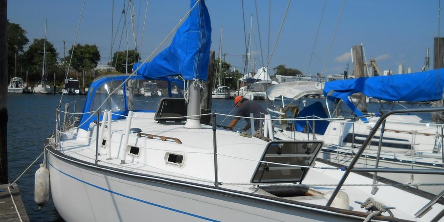 Morgan 382