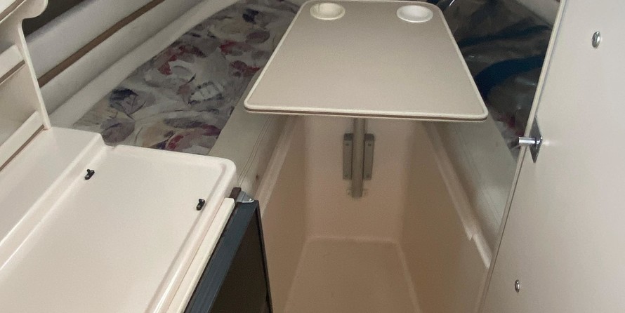 Grady white 270 islander