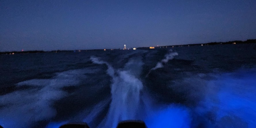 Boston Whaler 320 Outrage