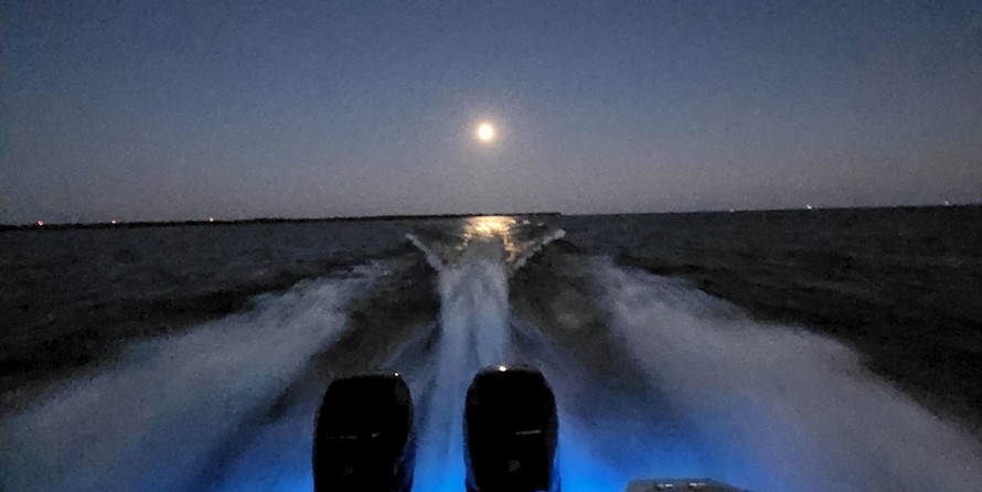 Boston Whaler 320 Outrage