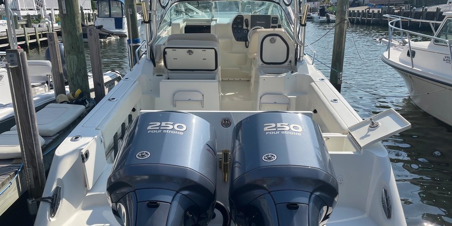 Hydra-sports 2800 vector wa