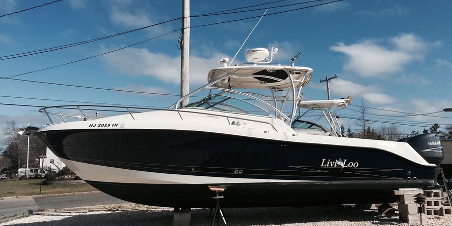 Hydra-sports 2800 vector wa