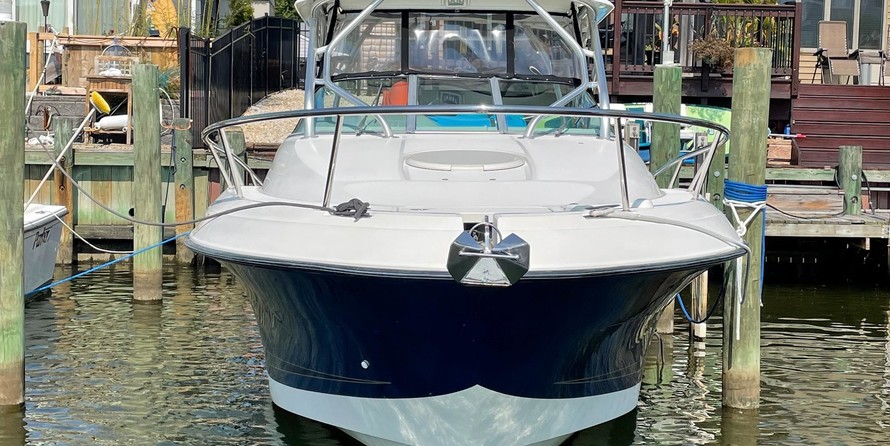 Hydra-sports 2800 vector wa
