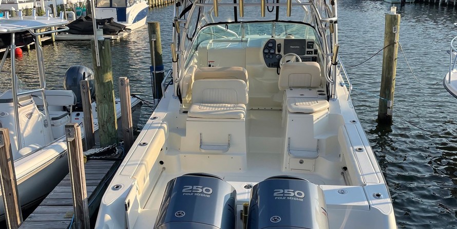 Hydra-sports 2800 vector wa