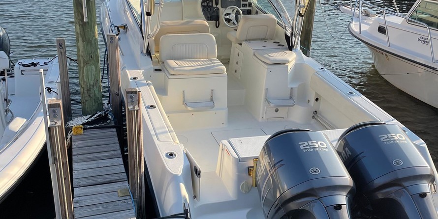 Hydra-sports 2800 vector wa