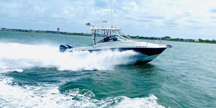 Hydra-sports 2800 vector wa