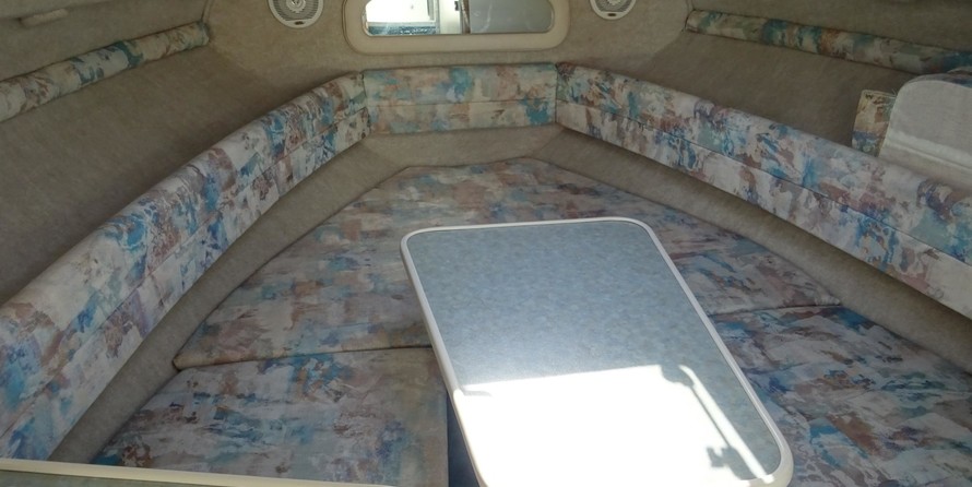 Sea Ray 240 Sundancer