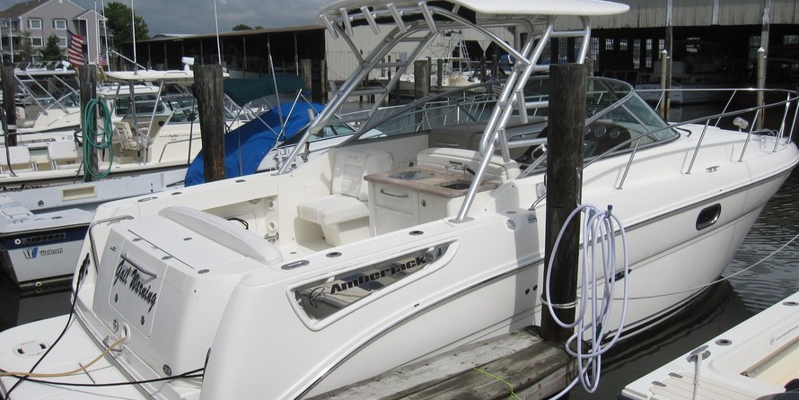 Sea Ray 290 Amberjack