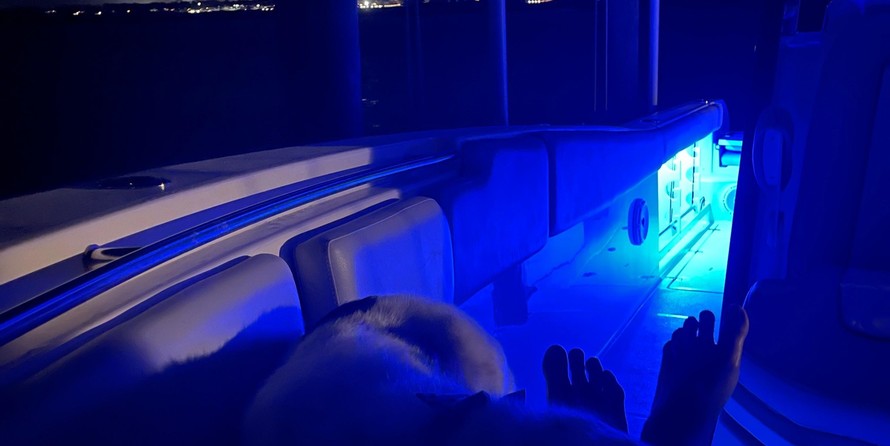 288 Sea Fox Commander