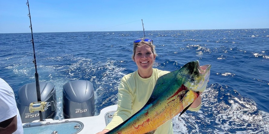 288 Sea Fox Commander