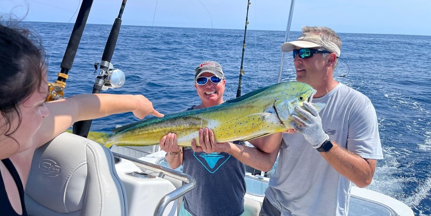 288 Sea Fox Commander