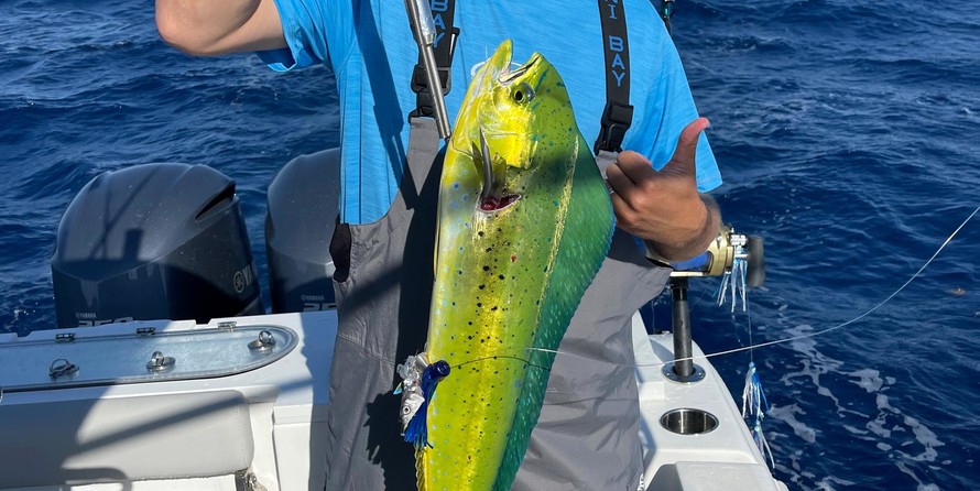 288 Sea Fox Commander