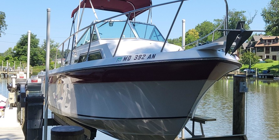 Wellcraft 290 Coastal