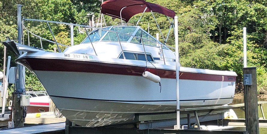 Wellcraft 290 Coastal