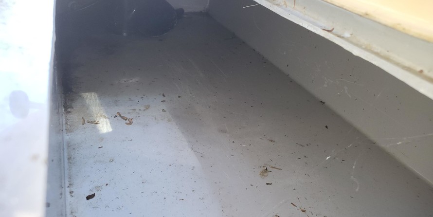 Wellcraft 290 Coastal