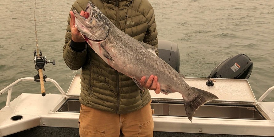 Thunder Jet Luxor Limited Edition