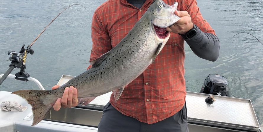 Thunder Jet Luxor Limited Edition