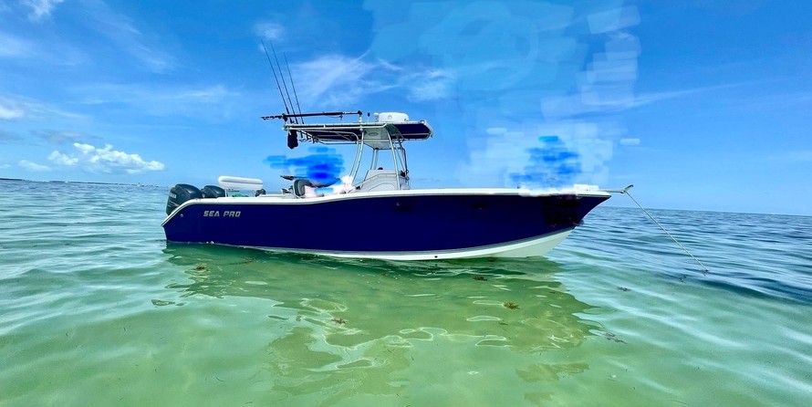 Angler Pro Boats 2900 center console