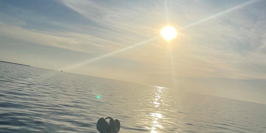 Angler Pro Boats 2900 center console