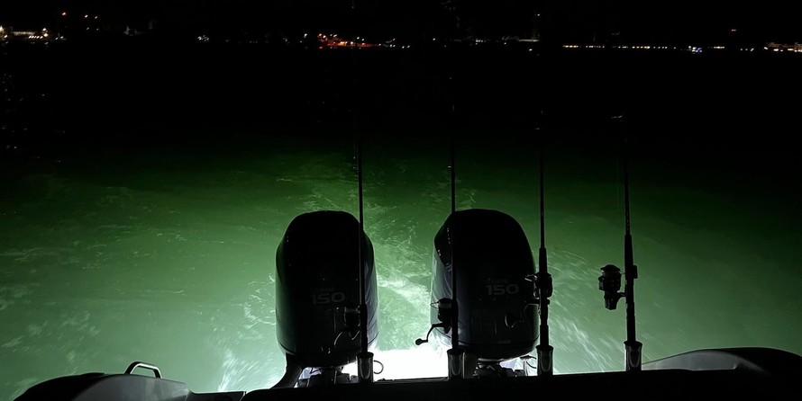 Angler Pro Boats 2900 center console