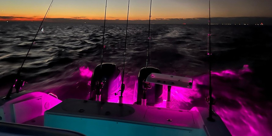 Angler Pro Boats 2900 center console