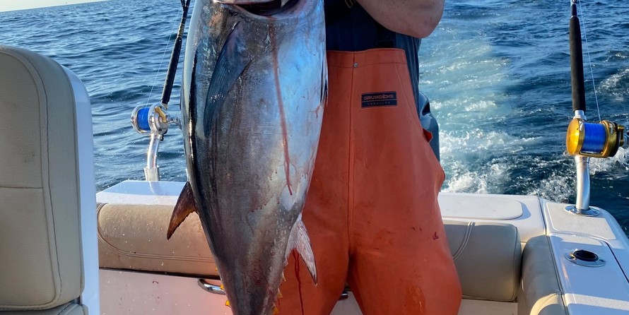 Pursuit 2870 center console