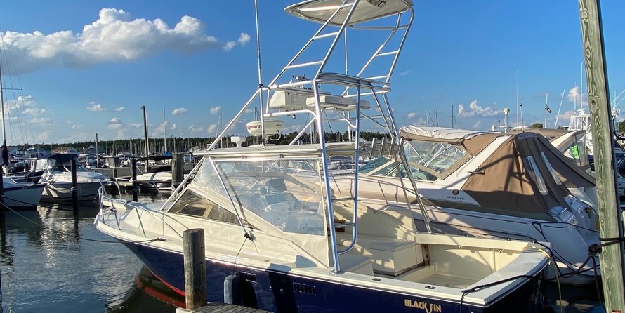 Blackfin 29 combi