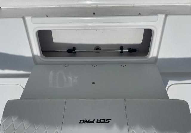 Sea Ray pro 208 bay