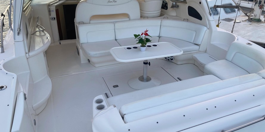 Sea Ray 460 Sundancer