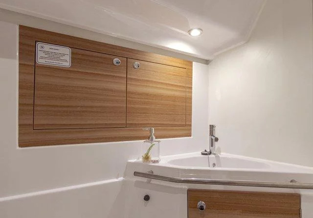 Elan Impression 45.1