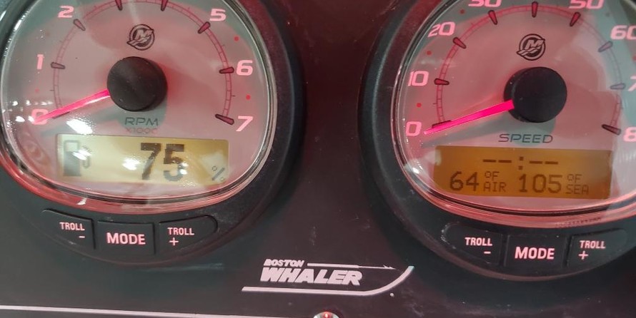 Boston Whaler 190 Outrage