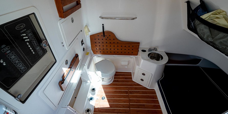 Grady-White Canyon 336