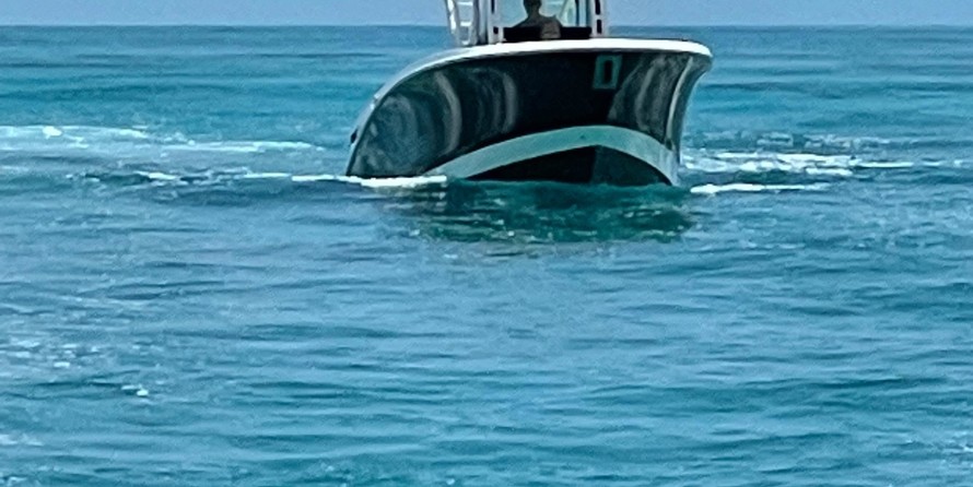 Wellcraft 302 Fisherman