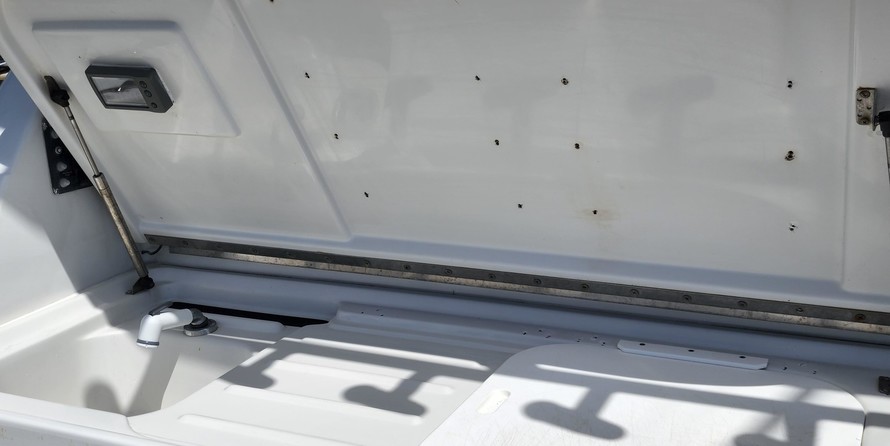 Glacier bay isle runner blue hull 2670