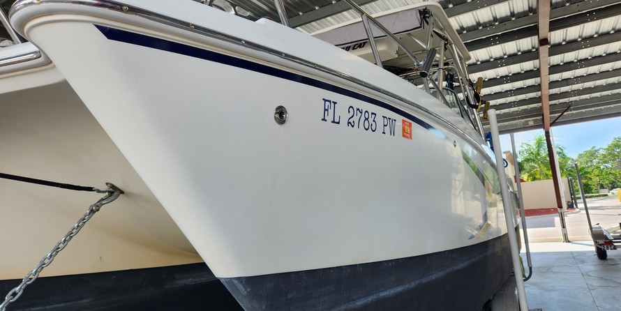 World cat 250 dc