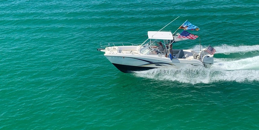 World cat 250 dc