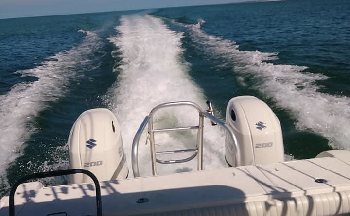 World cat 250 dc
