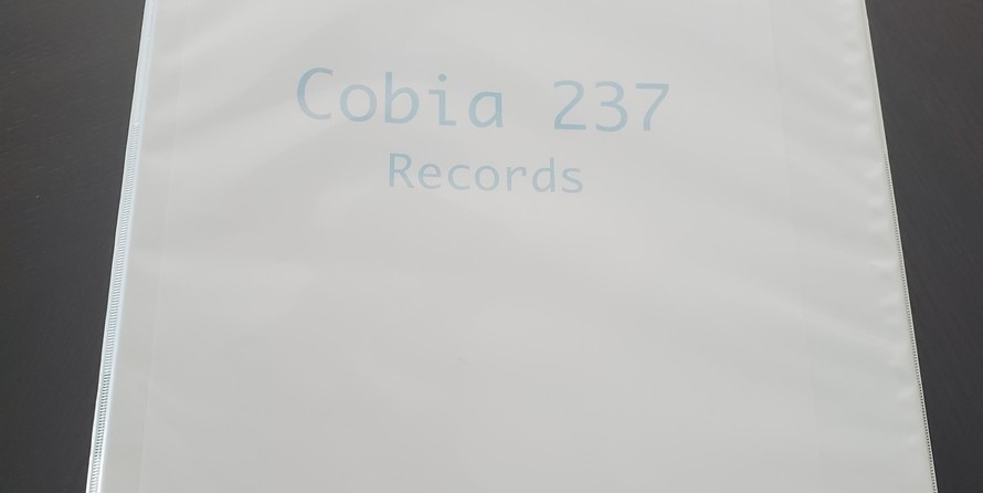 Cobia 217 center console