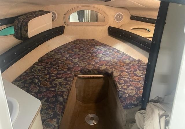 Sea ray 215 express cruiser