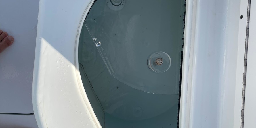 Yellowfin 32 offshore