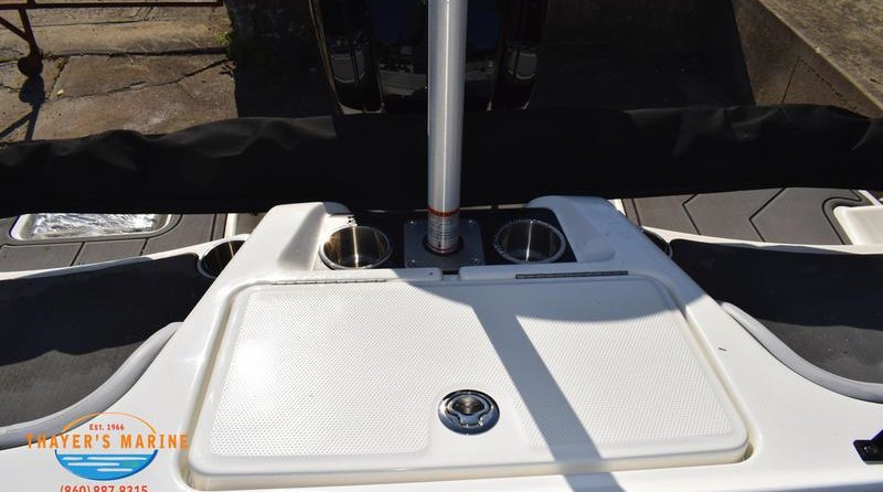 Bayliner Element M17